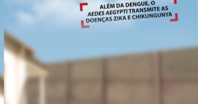 Chikungunya Zika Dengue aqui não