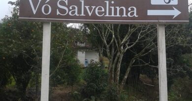 Morro da vó Salvelina