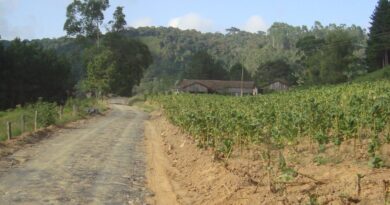 Trabalhos de recuperação Ribeirão do Salto