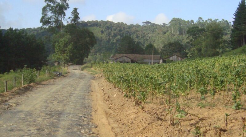 Trabalhos de recuperação Ribeirão do Salto