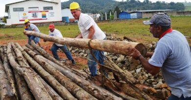 Obras do Portal recomeçam