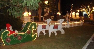 Natal 2013